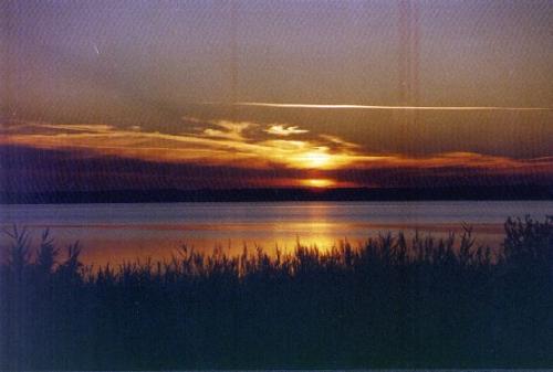 image 0011